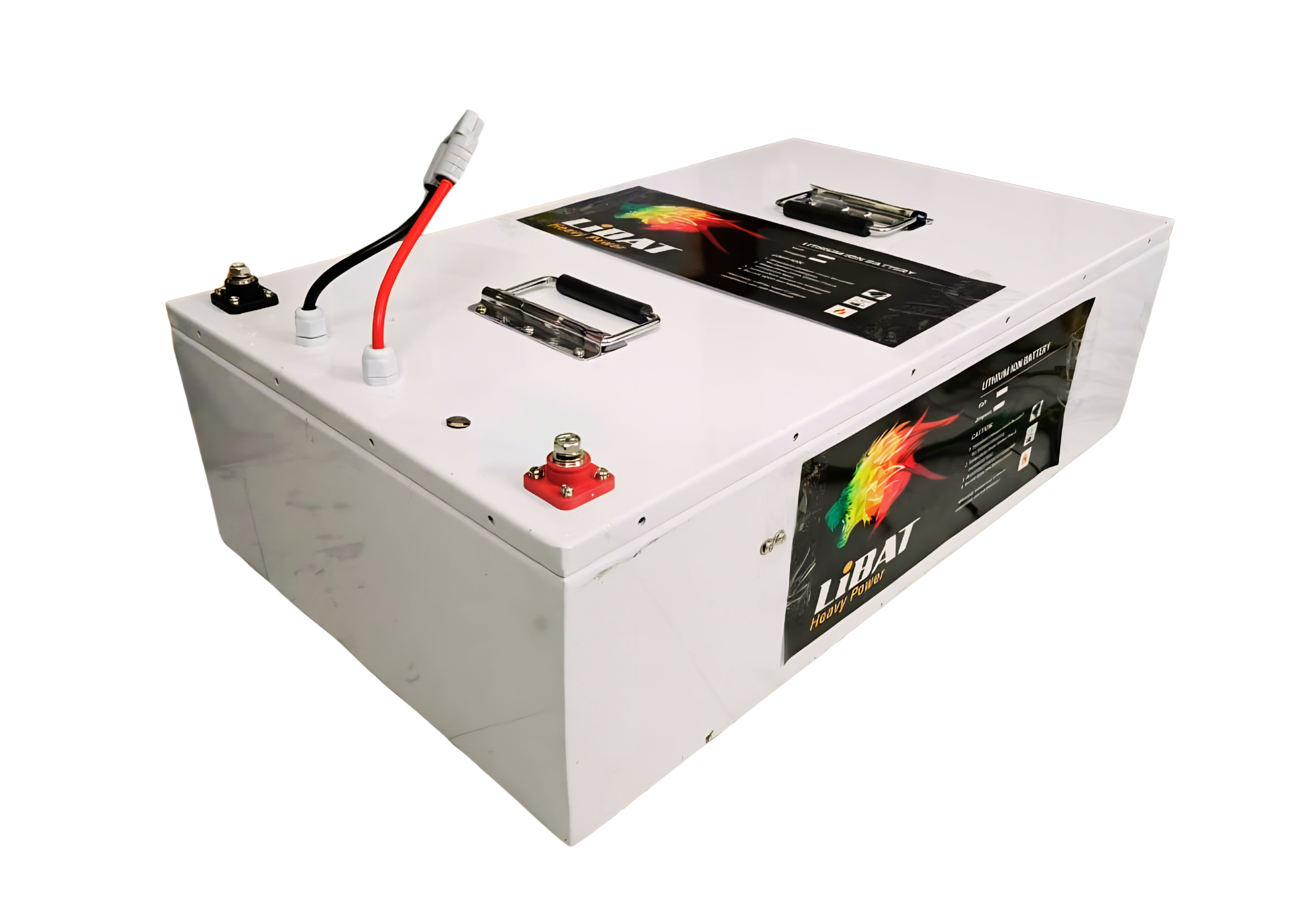 EV 64V 130A With Charger