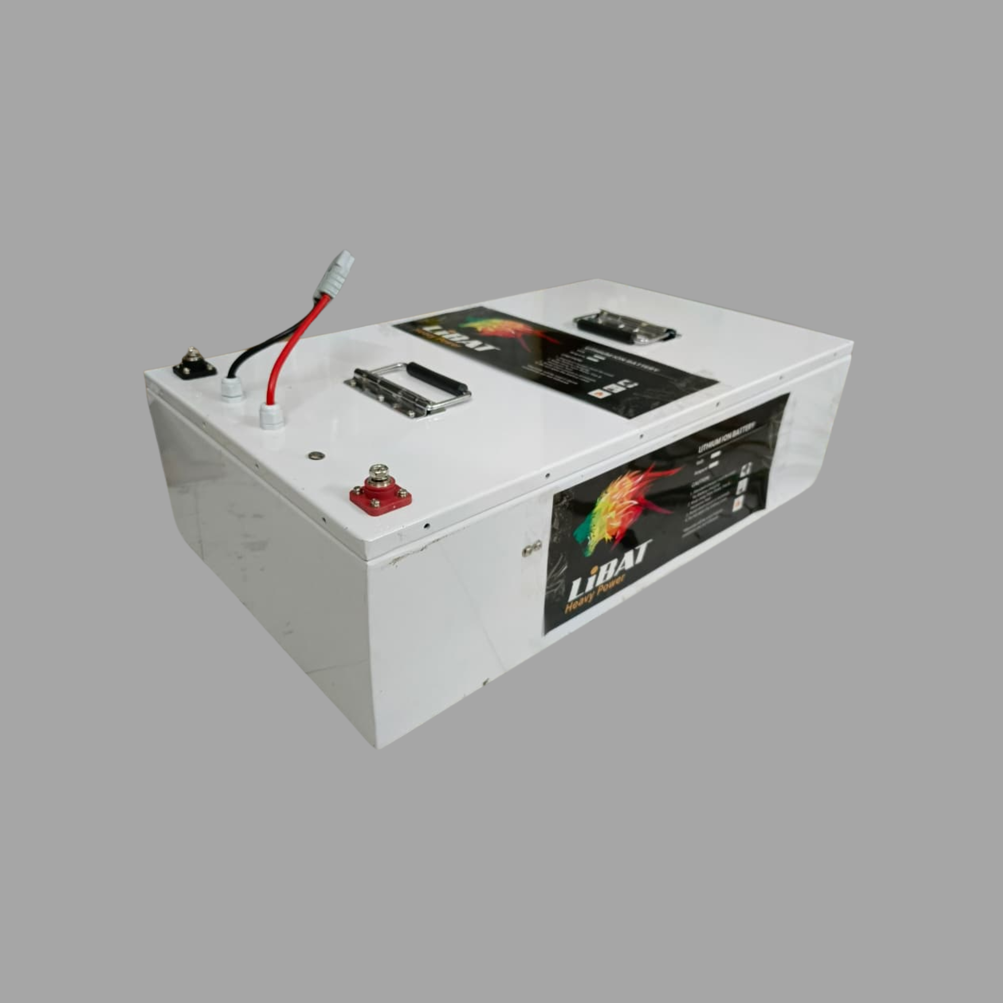 EV 64V 178A With Charger