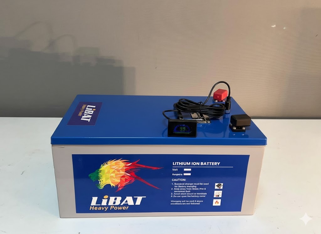 EV 51.2V 178A With Charger